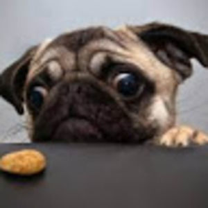 Meet your Posher, Keira